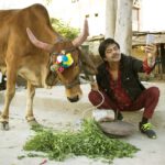 Sanjay Mishra and Nawazuddin Siddiqui starrer film Holy Cow will release on 26th August 2022
